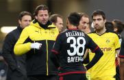 Bayer Leverkusen, Roger Schmidt, Spielunterbrechung, Leverkusen - BVB, Bayer Leverkusen, Roger Schmidt, Spielunterbrechung, Leverkusen - BVB