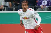 2. Liga: RB Leipzig unaufhaltsam auf Aufstiegskurs