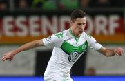 Julian Draxler, Julian Draxler