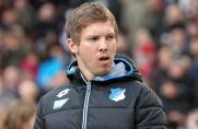 Hoffenheim: Wie Coach Nagelsmann die TSG belebt