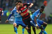 Leverkusen - Hamburg: Bayer beendet Negativserie