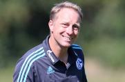 Trainer, Jürgen Luginger, Schalke 04 II, Saison 2015/2016, Trainer, Jürgen Luginger, Schalke 04 II, Saison 2015/2016