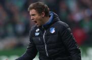 TSG Hoffenheim, Julian Nagelsmann, TSG Hoffenheim, Julian Nagelsmann