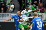 VfL Wolfsburg, SV Darmstadt 98, Sandro Wagner