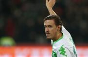 VfL Wolfsburg, 1. Bundesliga, Max Kruse, Saison 2015/16, VfL Wolfsburg, 1. Bundesliga, Max Kruse, Saison 2015/16