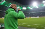 borussia mönchengladbach, 1. Bundesliga, Andre Schubert, Saison 2015/16, borussia mönchengladbach, 1. Bundesliga, Andre Schubert, Saison 2015/16