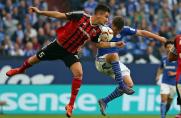 Schalke - Ingolstadt, Schalke - Ingolstadt