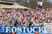 Hansa Rostock, Hansa-Fans, Saison 2013/2014, Hansa Rostock, Hansa-Fans, Saison 2013/2014