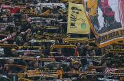 Dynamo Dresden, Fans