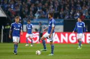 fc schalke 04, fc schalke 04