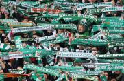 Werder Bremen, Fans