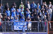 SSVg Velbert, Symbol, Velbert Fans, Saison 15/16, SSVg Velbert, Symbol, Velbert Fans, Saison 15/16