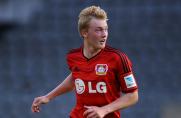 Bayer Leverkusen, 1. Bundesliga, Julian Brandt, Saison 2014/15, Bayer Leverkusen, 1. Bundesliga, Julian Brandt, Saison 2014/15