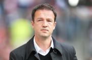 VfB Stuttgart, Fredi Bobic, Saison 2013/2014, VfB Stuttgart, Fredi Bobic, Saison 2013/2014