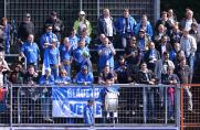 SSVg Velbert, Symbol, Velbert Fans, Saison 15/16, SSVg Velbert, Symbol, Velbert Fans, Saison 15/16