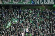 VfL Wolfsburg: 90 000 Euro Strafe und Fan-Teilausschluss