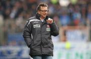 Arminia Bielefeld: Trainer Meier will zu Darmstadt 98