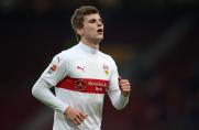 Timo Werner, Timo Werner