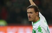 VfL Wolfsburg, 1. Bundesliga, Max Kruse, Saison 2015/16, VfL Wolfsburg, 1. Bundesliga, Max Kruse, Saison 2015/16