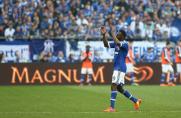 Schalke 04, fc schalke 04, Chinedu Obasi, Saison 2013/14, Schalke 04, fc schalke 04, Chinedu Obasi, Saison 2013/14