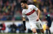 1899 Hoffenheim: Neuzugang vom VfB Stuttgart