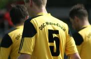 DSC Wanne-Eickel, Trikot, Saison 2013/14, DSC Wanne-Eickel, Trikot, Saison 2013/14