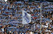 msv duisburg, MSV-Fans, Saison 2013/2014, msv duisburg, MSV-Fans, Saison 2013/2014