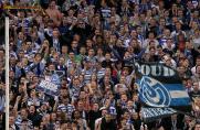 msv duisburg, MSV Duisburg Fans, Saison 2014/2015, msv duisburg, MSV Duisburg Fans, Saison 2014/2015