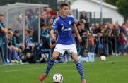 U19 Schalke 04, Saison 2015/2016, Phil Neumann, U19 Schalke 04, Saison 2015/2016, Phil Neumann