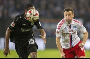 Ivica Olic, Ivica Olic