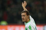 VfL Wolfsburg, 1. Bundesliga, Max Kruse, Saison 2015/16, VfL Wolfsburg, 1. Bundesliga, Max Kruse, Saison 2015/16