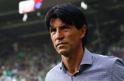 Frankfurt: Manager kritisiert Einkaufspolitik des HSV