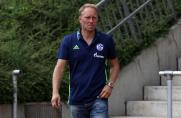 Jürgen Luginger, Trainer, FC Schalke 04 II, S04 II