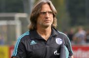 Norbert Elgert, U19 Schalke 04, Saison 2015/2016, Norbert Elgert, U19 Schalke 04, Saison 2015/2016