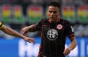 Bundesliga: Ben-Hatira vor Wechsel zu Darmstadt 98