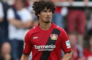 Mainz: Verteidiger aus Leverkusen wird ausgeliehen