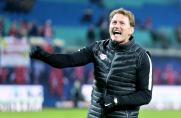 Trainer, 1. Bundesliga, Ralph Hasenhüttl, RB Leipzig, Saison 2016/17, Trainer, 1. Bundesliga, Ralph Hasenhüttl, RB Leipzig, Saison 2016/17