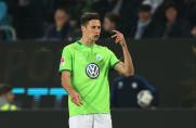 Julian Draxler, Julian Draxler