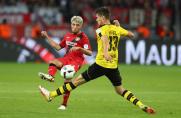 Bayer Leverkusen, 1. Bundesliga, Kevin Kampl, Saison 2016/17, Bayer Leverkusen, 1. Bundesliga, Kevin Kampl, Saison 2016/17