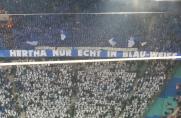 Hertha-Fans, Hertha-Fans