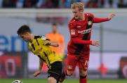 Julian Brandt, Julian Brandt