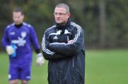 Trainer, Landesliga, Viktoria Buchholz, Michael Roß, Saison 2012/13, Trainer, Landesliga, Viktoria Buchholz, Michael Roß, Saison 2012/13