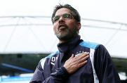 Ex-BVB-Coach: David Wagner sagt dem VfL Wolfsburg ab