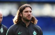 Darmstadt 98: Thorsten Frings wird neuer Trainer