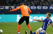 Darmstadt: Trainer Frings plant nicht mehr mit Ex-Zebra