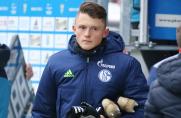 Nächstes Schalke-Talent geht: Reese wechselt zum KSC