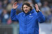 Torsten Frings, 1. Bundesliga, SV Darmstadt 98, Saison 2016/17, Torsten Frings, 1. Bundesliga, SV Darmstadt 98, Saison 2016/17