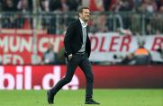 Markus Weinzierl, Markus Weinzierl