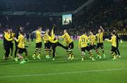 BVB - Leipzig, BVB - Leipzig