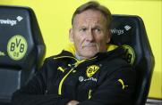 BVB: Watzke spricht von ersten Ermittlungserfolgen